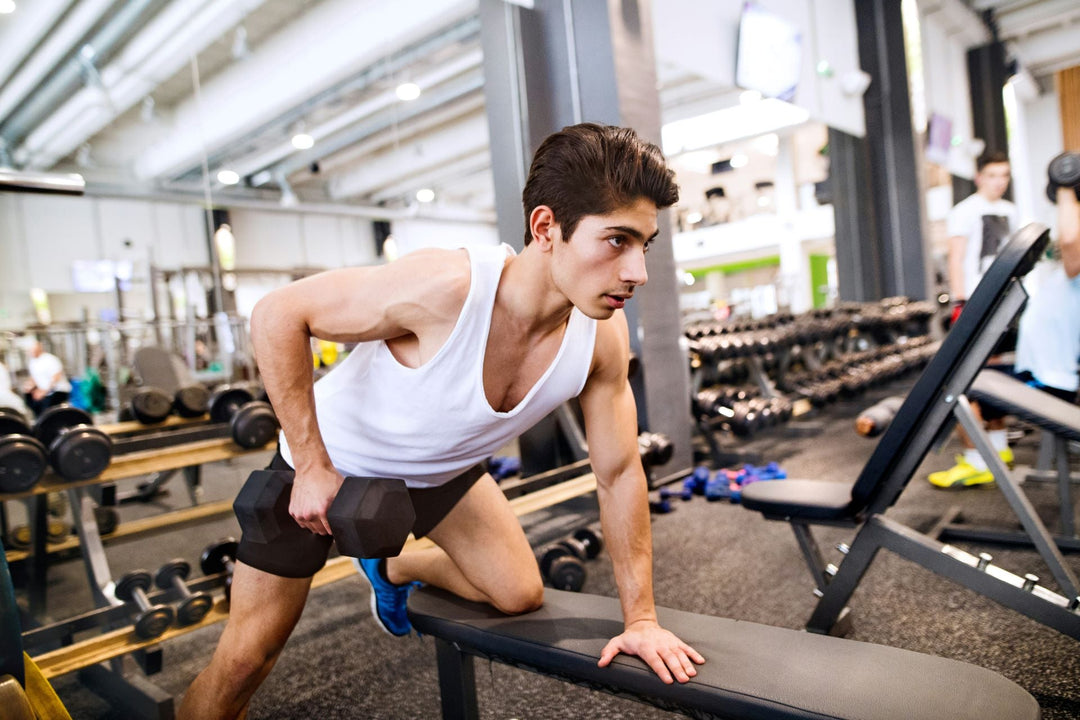 commercial weight bench