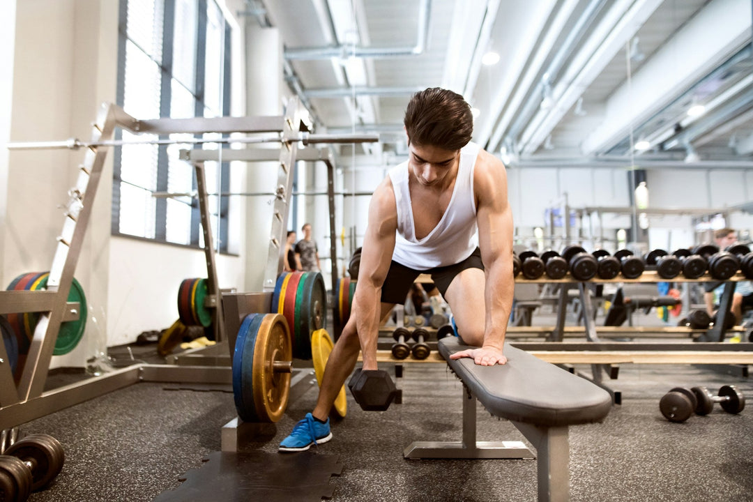 gym equipment