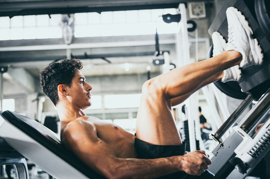 Leg Press