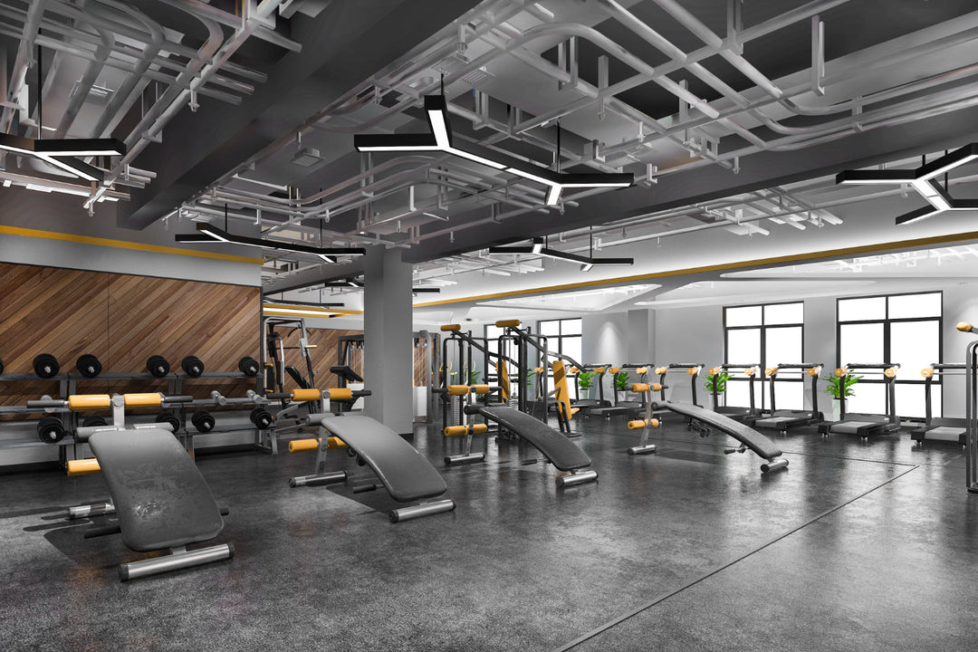 gym equipment warehouse