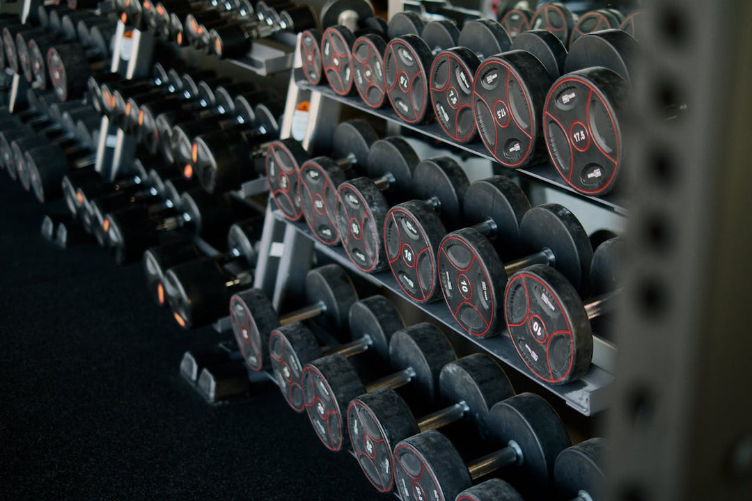 gym weights