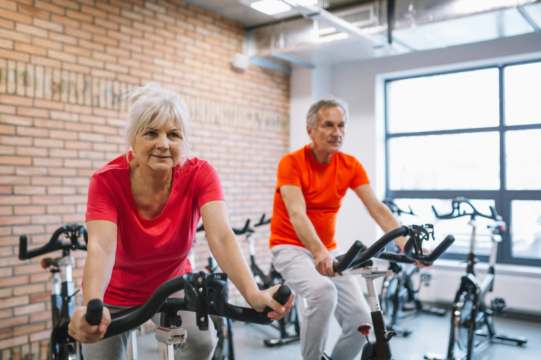 recumbent bikes for seniors
