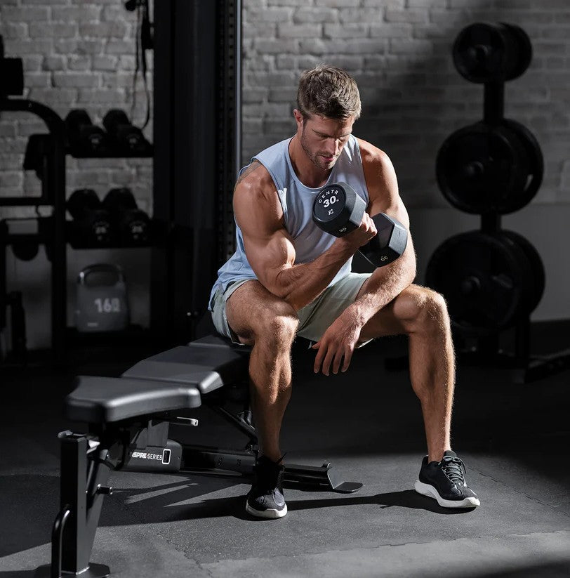 Adjustable weight bench seated position for dumbbell curls targeting biceps in home gym strength workout