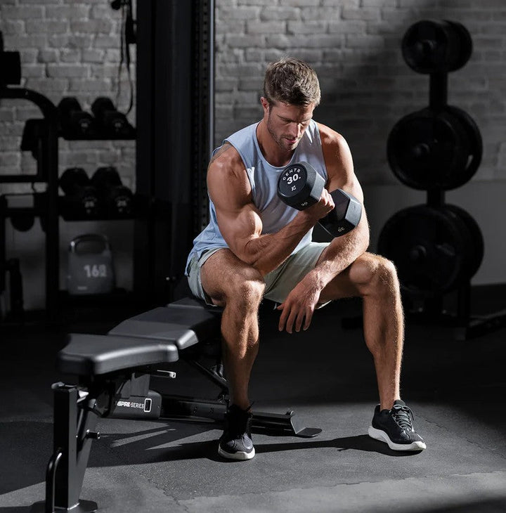 Adjustable weight bench seated position for dumbbell curls targeting biceps in home gym strength workout