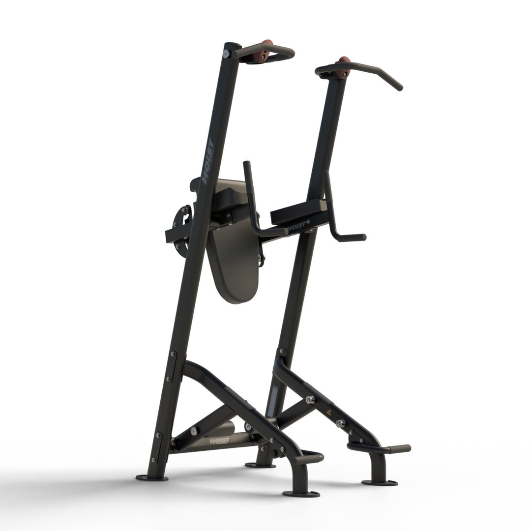 Fitness tree rear angle highlighting sturdy frame and support structure for functional fitness exercises