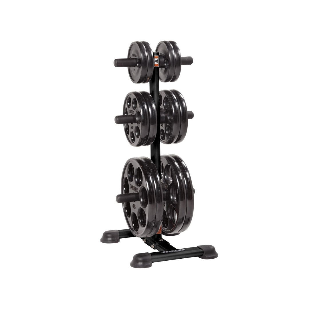 Olympic weight tree with multiple weight plates loaded for organized strength training storage solution